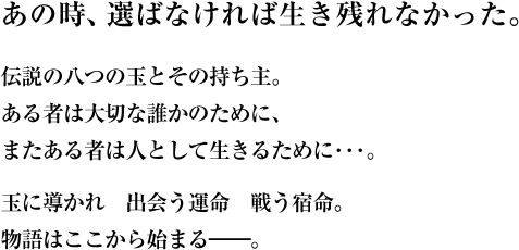 あの時、選ばなければ生き残れなかった。伝説の八つの玉とその持ち主。ある者は大切な誰かのために、
またある者は人として生きるために･･･。玉に導かれ　出会う運命　戦う宿命。物語はここから始まる――。 